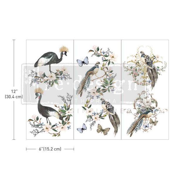 Re-Design Transzfer fólia – Rare Birds