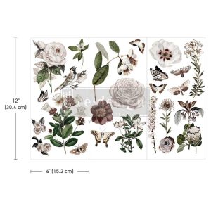 Redesign transzferfólia