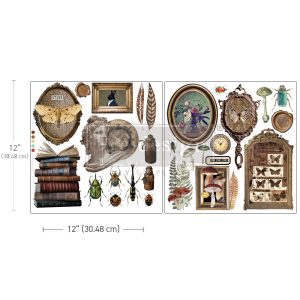 Redesign transzferfólia