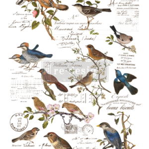 Redesign transzferfólia